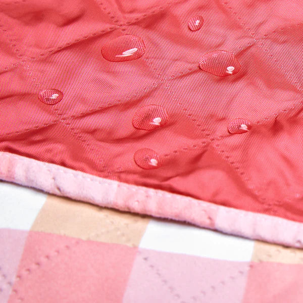 Strawberries & Cream Picnic Blanket