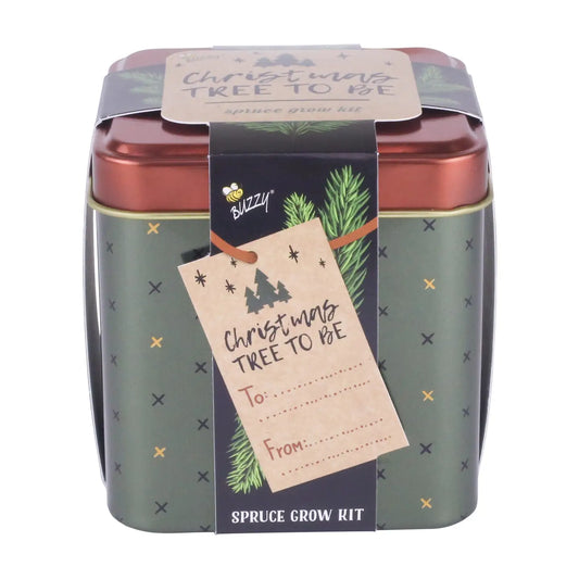 Spruce | Holiday Square Tin