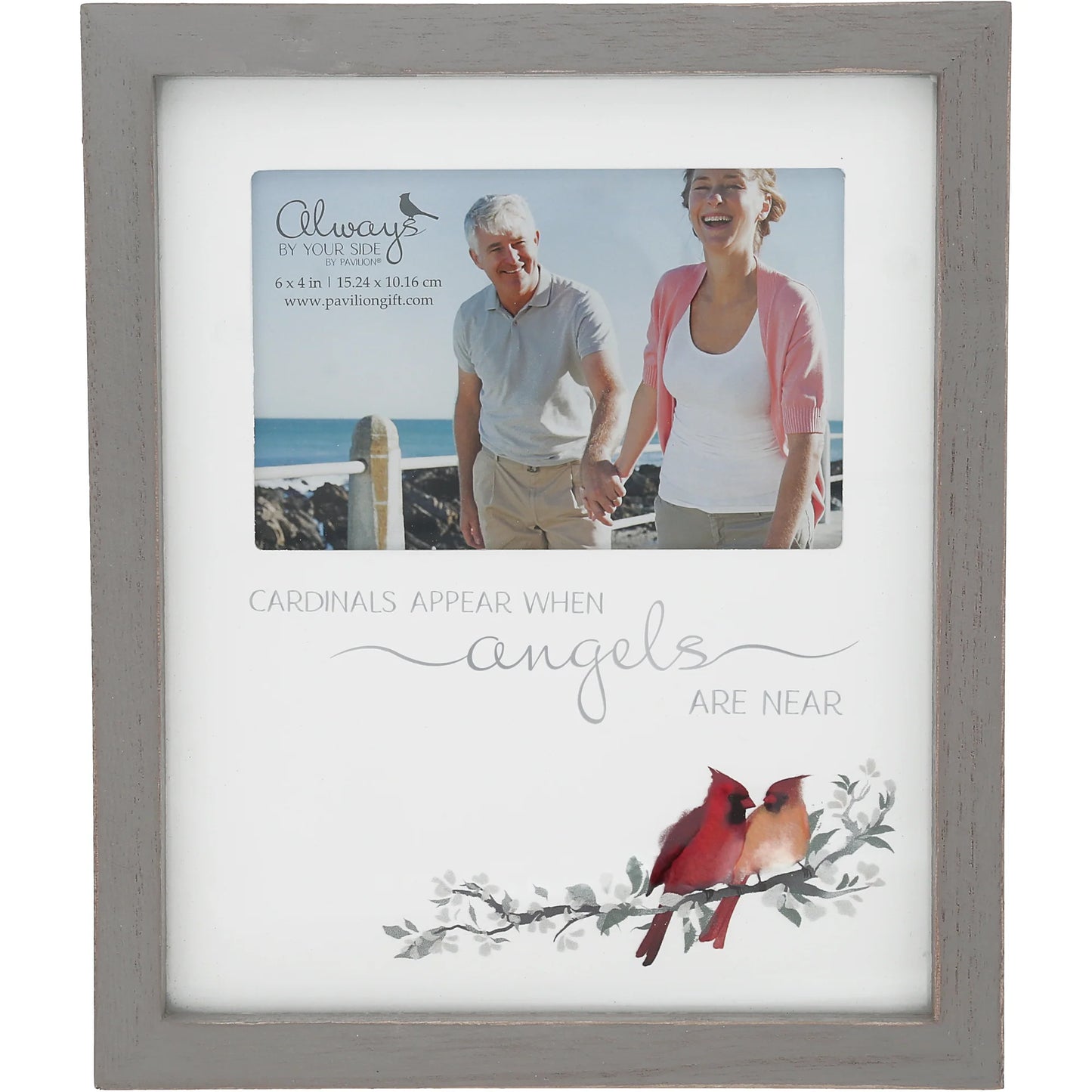 Cardinals Appear Frame