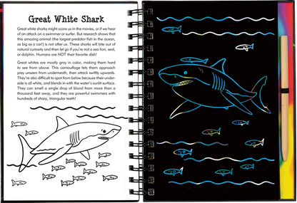 Scratch & Sketch | Sharks