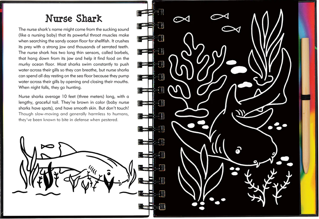 Scratch & Sketch | Sharks