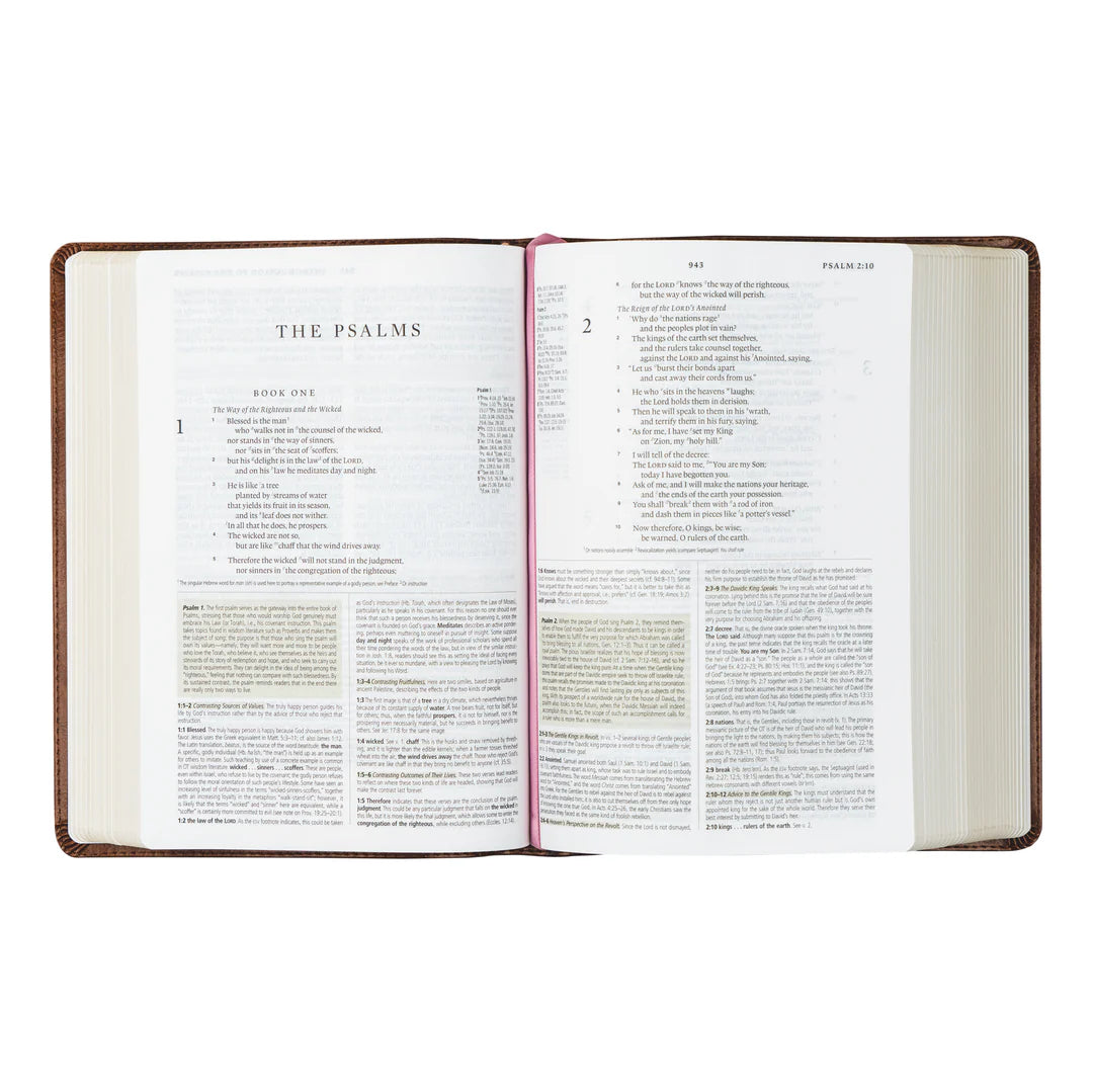 Aurora | ESV Study Bible