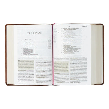 Aurora | ESV Study Bible