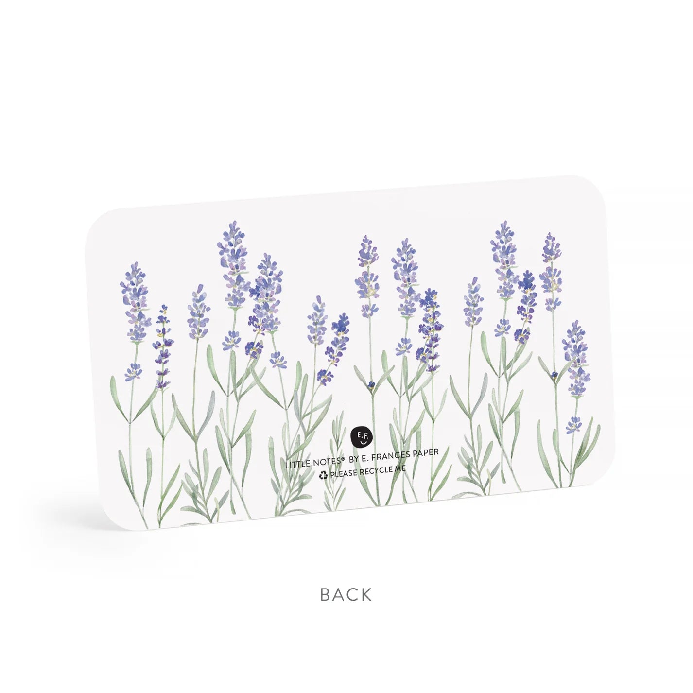 Lavender Little Notes