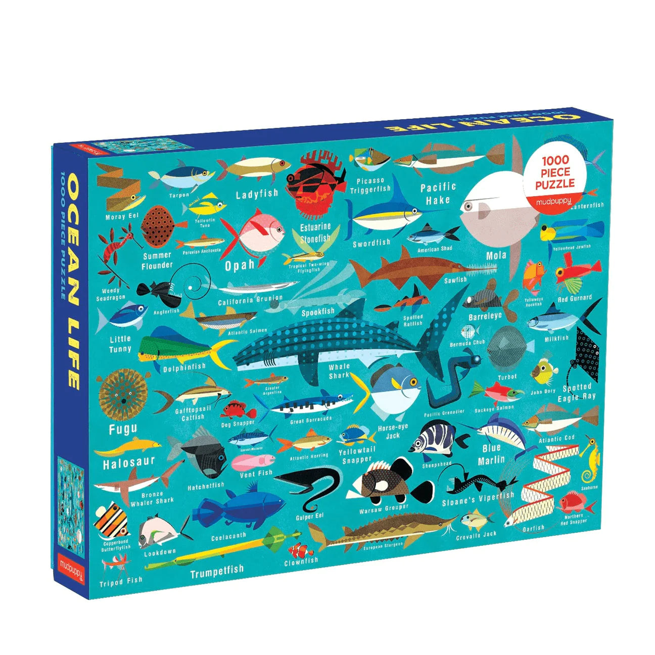 Ocean Life Puzzle