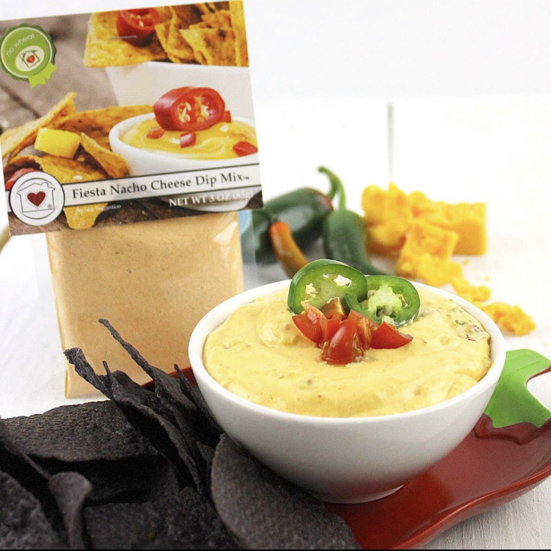 Fiesta Nacho Cheese Dip Mix