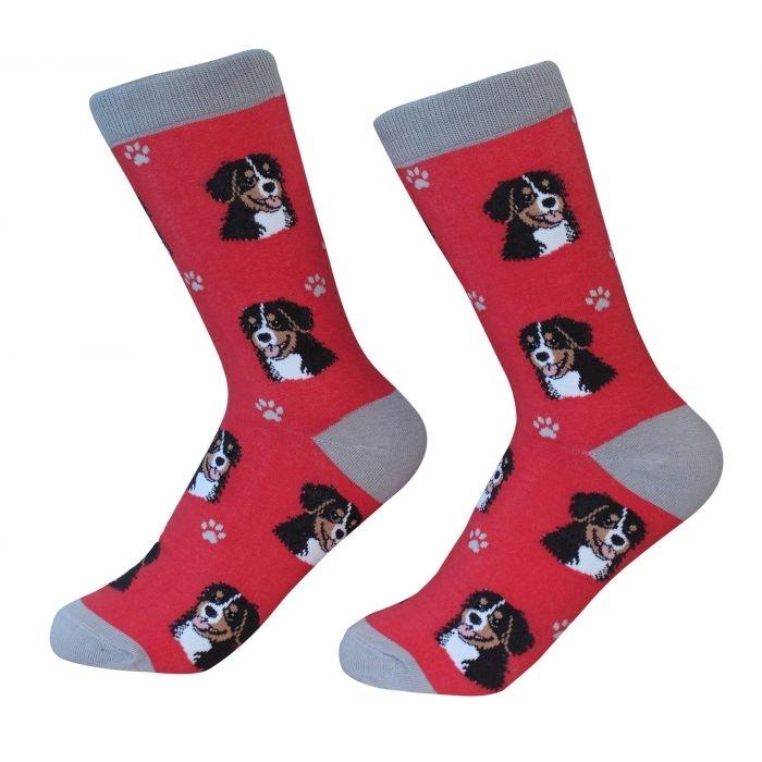 Bernese Mt Dog Socks